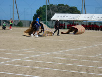P1010224