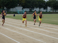 P1010608