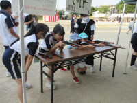 15IMG_6778